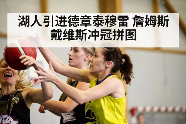 湖人引进德章泰穆雷 詹姆斯戴维斯冲冠拼图